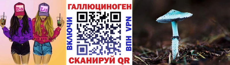 купить наркотик  Сыктывкар  Галлюциногенные грибы Cubensis 