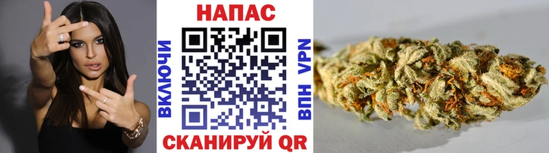 Каннабис планчик Сыктывкар